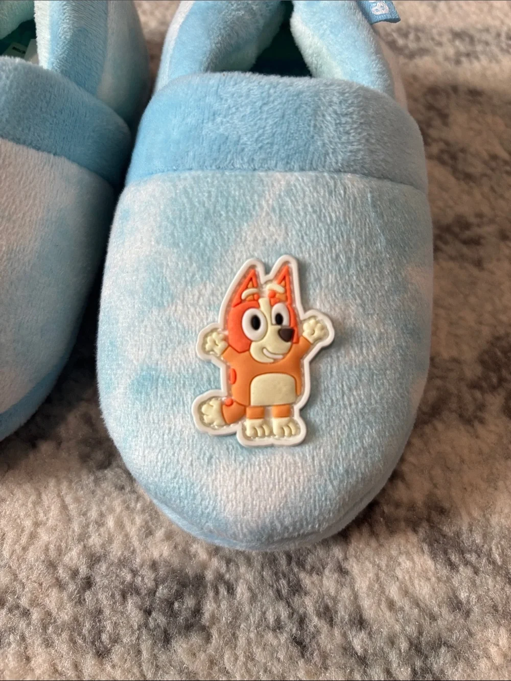 Bluey Kids Slippers